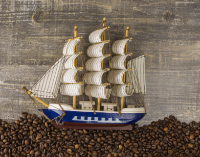 Journey Through the Monsooned Malabar Coffee